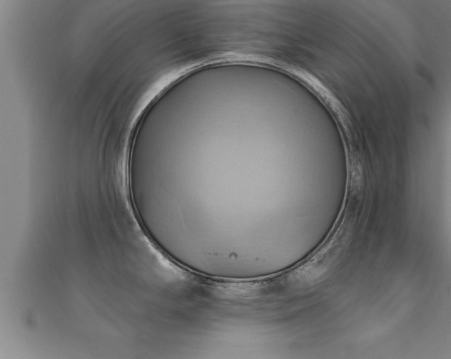 X0000111361294200907171156