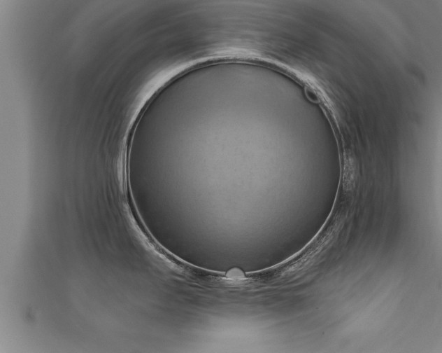 X0000111361295200907171156