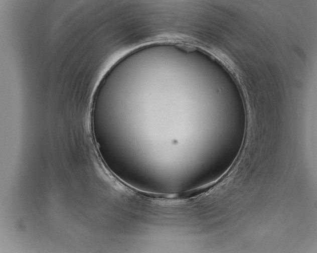 X0000111361296200907171156
