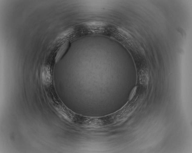 X0000111361298200907171155
