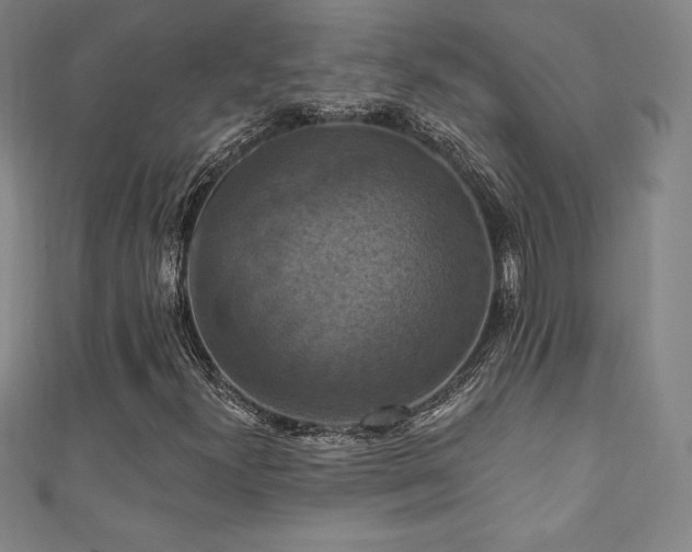 X0000111361300200907171155