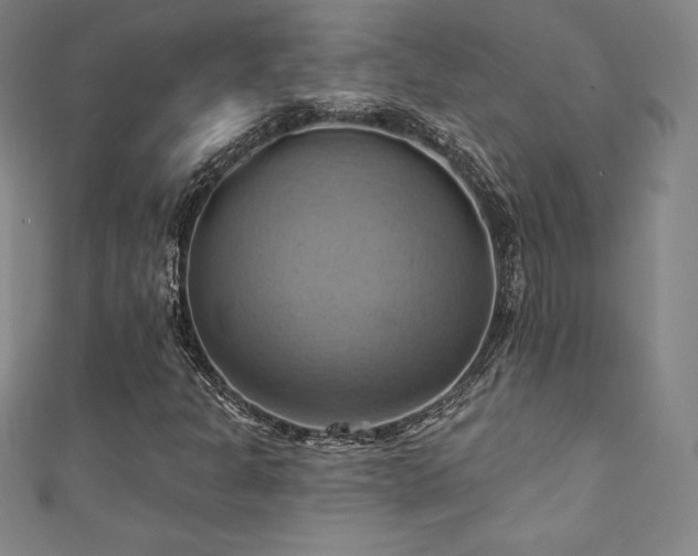 X0000111361301200907171155