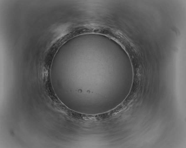 X0000111361302200907171155