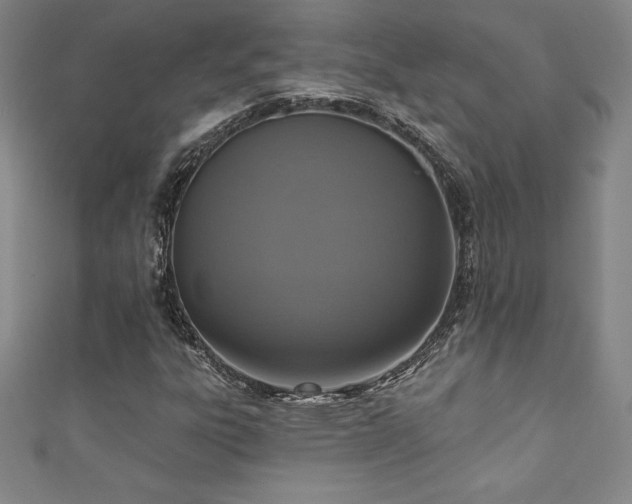 X0000111361303200907171155