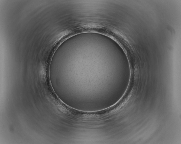 X0000111361305200907171155