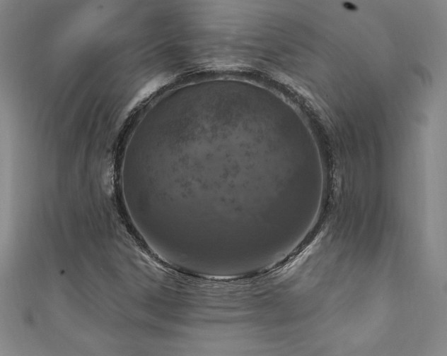 X0000111361306200907171155