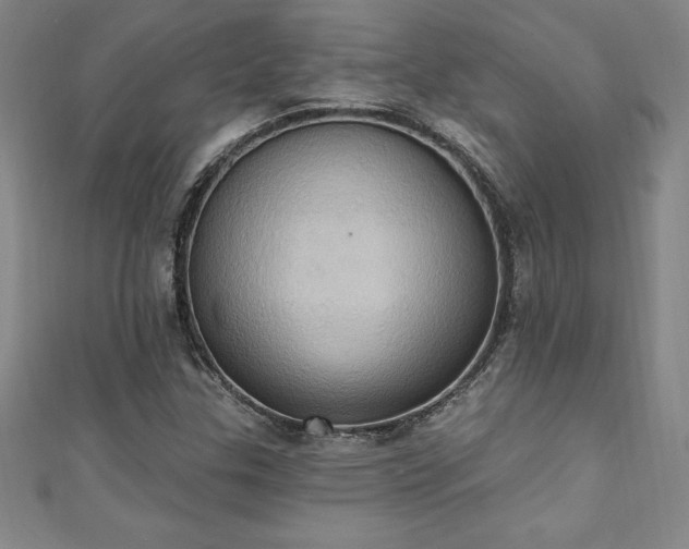 X0000111361307200907171155