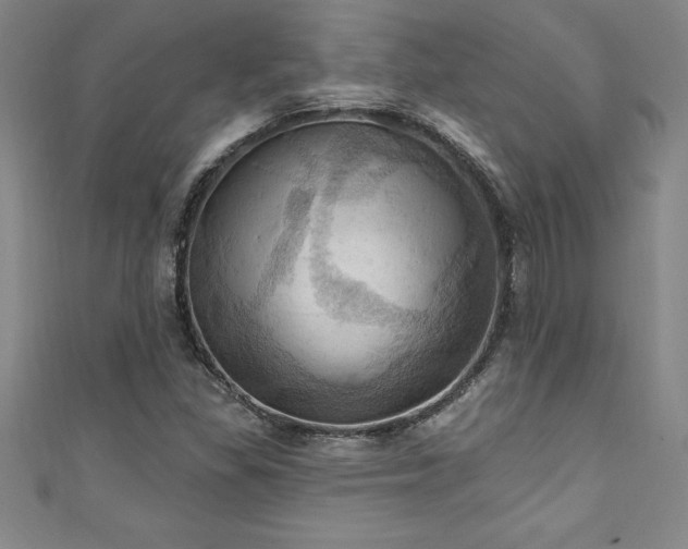 X0000111361309200907171155