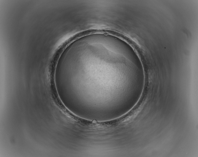 X0000111361311200907171155