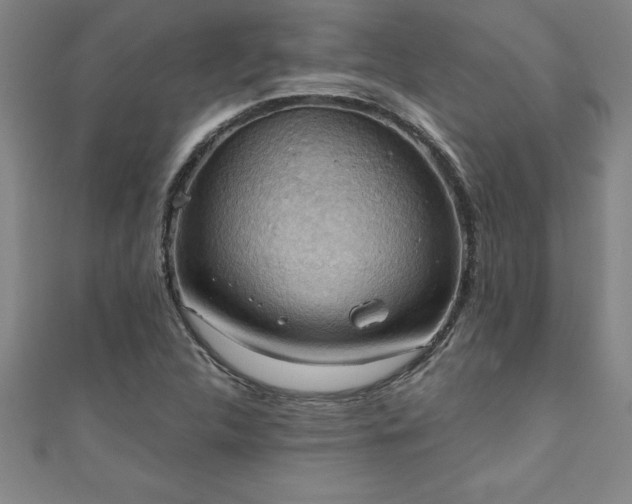 X0000111361312200907171155