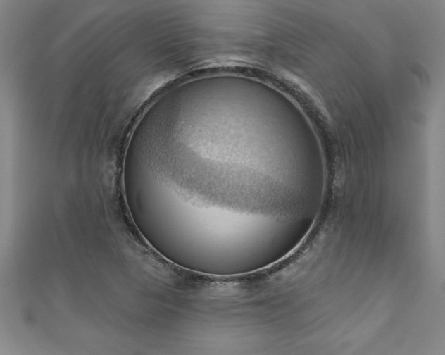 X0000111361313200907171155