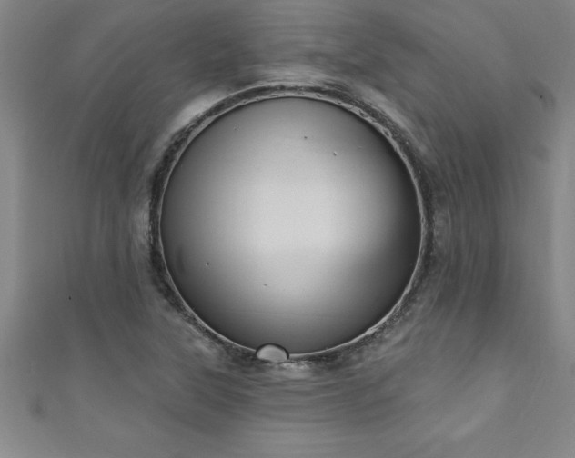 X0000111361315200907171155