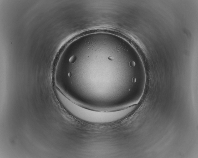 X0000111361316200907171155