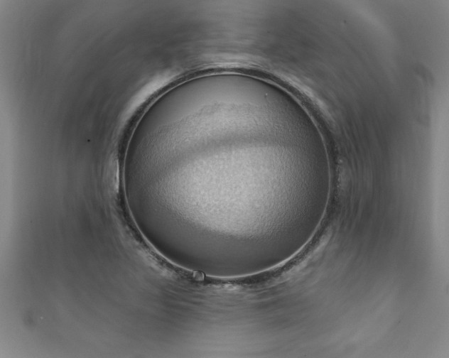 X0000111361317200907171155