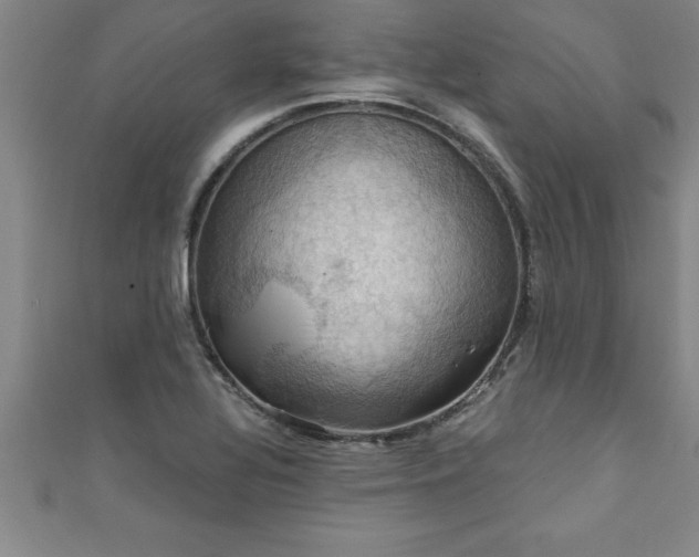 X0000111361320200907171156