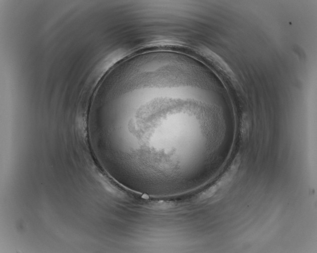 X0000111361321200907171156