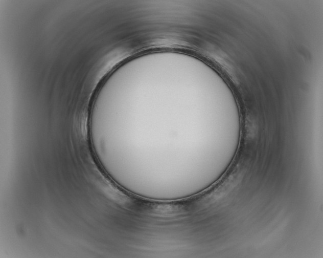X0000111361322200907171156
