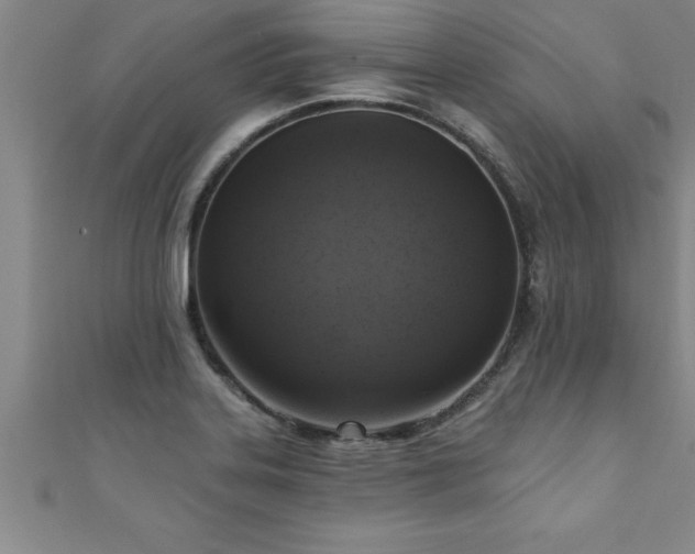 X0000111361323200907171156