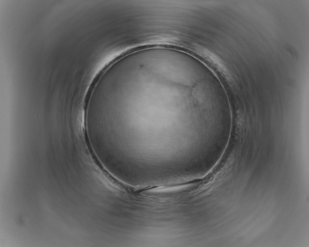 X0000111361324200907171156