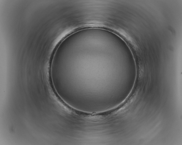 X0000111361325200907171156