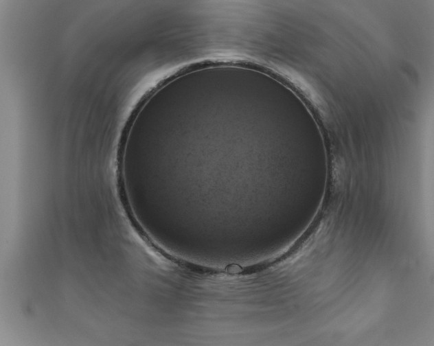 X0000111361327200907171156