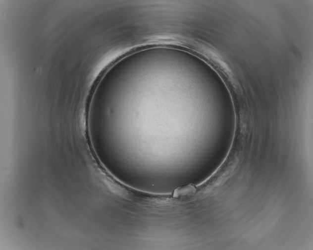 X0000111361328200907171156