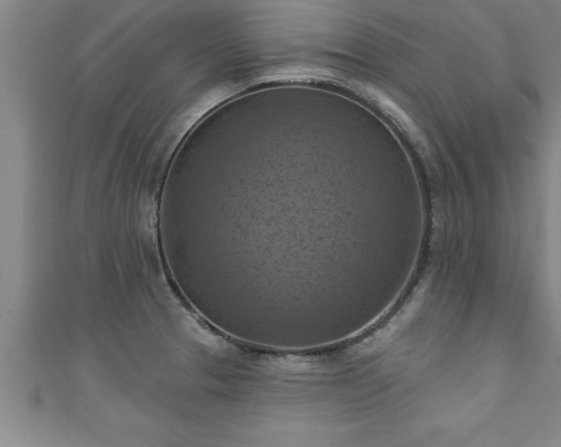 X0000111361329200907171156