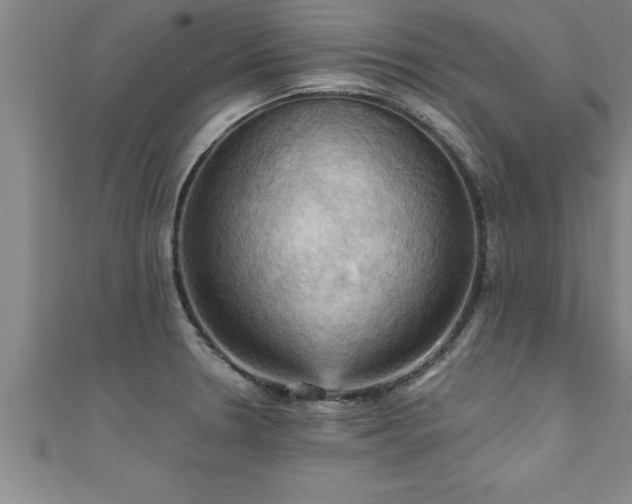 X0000111361330200907171156