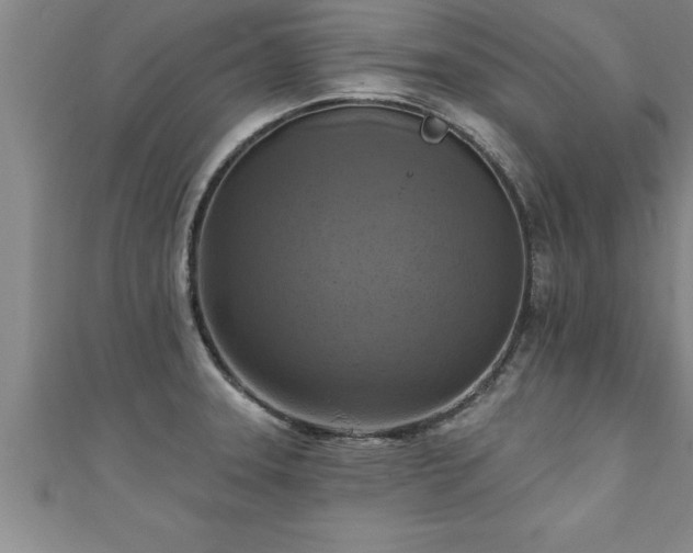 X0000111361331200907171156