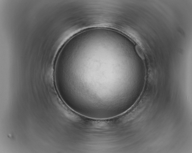 X0000111361332200907171156