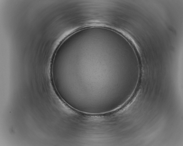 X0000111361333200907171156