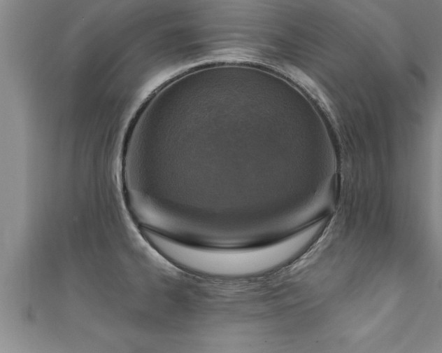 X0000111361334200907171156