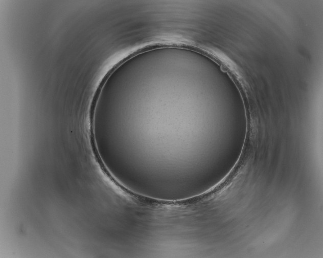 X0000111361335200907171156