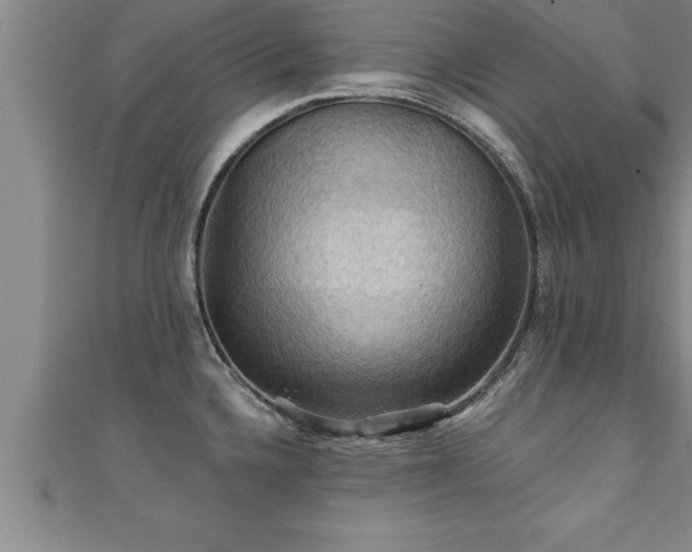 X0000111361336200907171156
