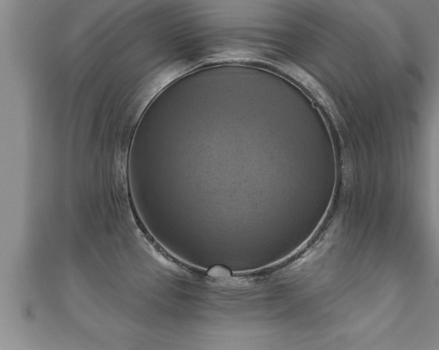X0000111361337200907171156