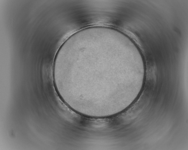 X0000111361338200907171156