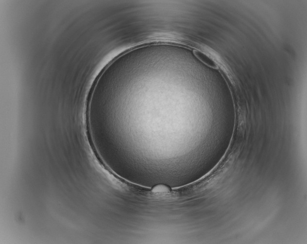 X0000111361339200907171156