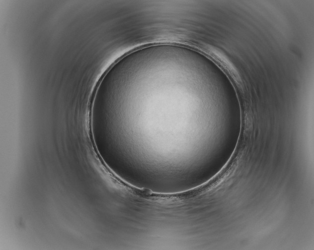 X0000111361340200907171156