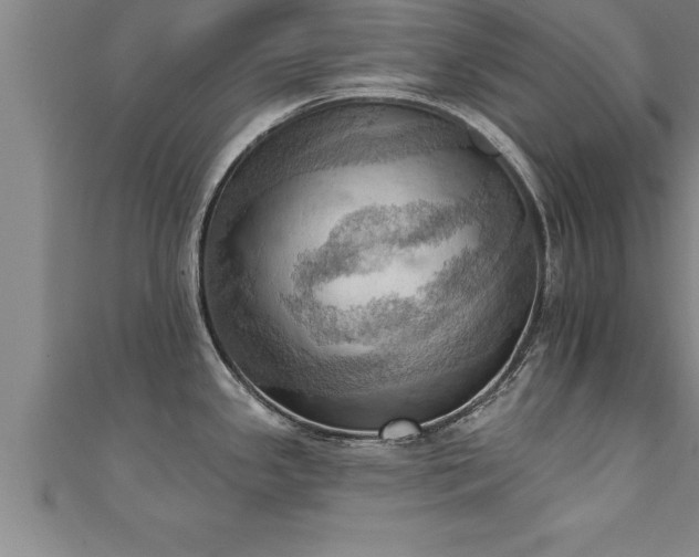 X0000111361341200907171156