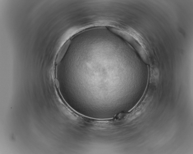 X0000111361342200907171156