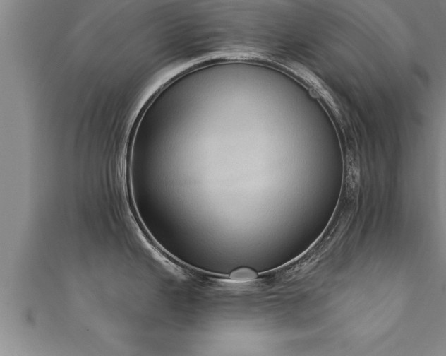 X0000111361343200907171156