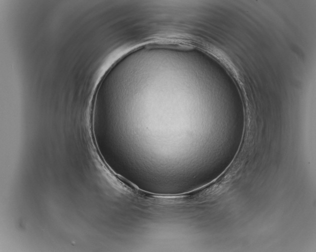 X0000111361344200907171156