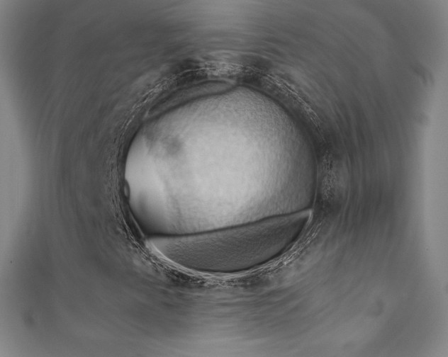 X0000111361345200907171155