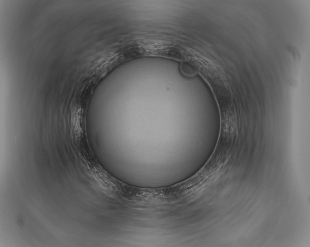 X0000111361346200907171155