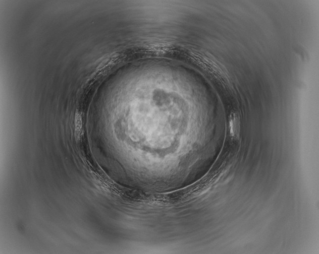 X0000111361347200907171155