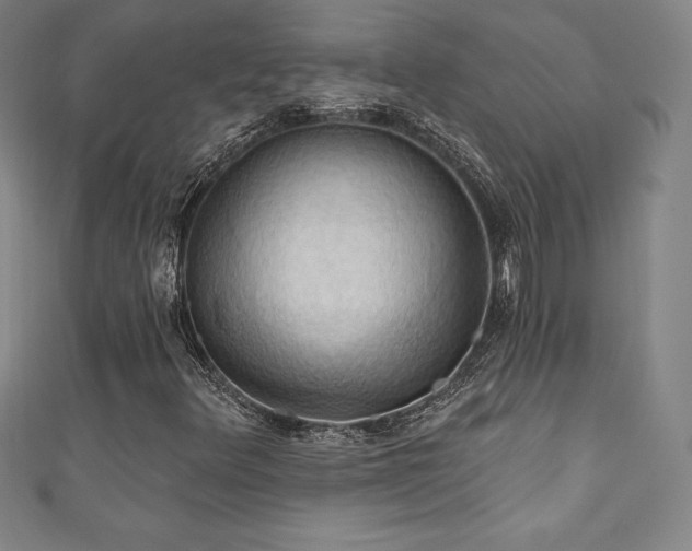 X0000111361348200907171155