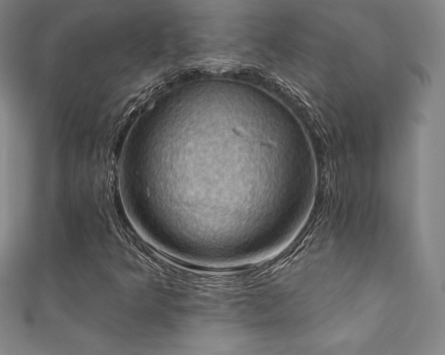 X0000111361349200907171155