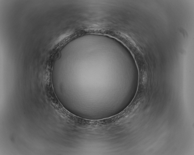 X0000111361350200907171155