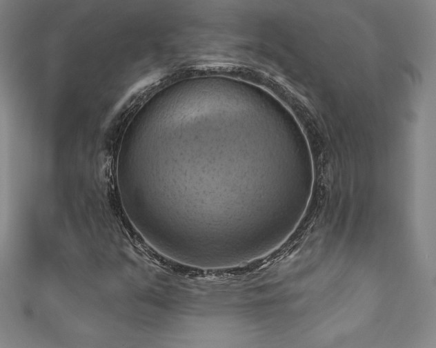 X0000111361351200907171155