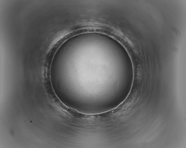 X0000111361352200907171155
